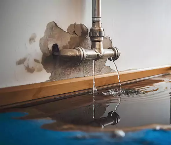 Professional Water Damage Restoration Experts in Fort Wayne, IN — Fast, Reliable & Certified
